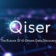 What is Qiser? The Future Of AI-Driven Data Discovery