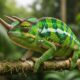 The Biology of Chameleónovité: How These Unique Reptiles Survive
