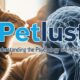 Petlust: Understanding the Psychology Behind Animal Care